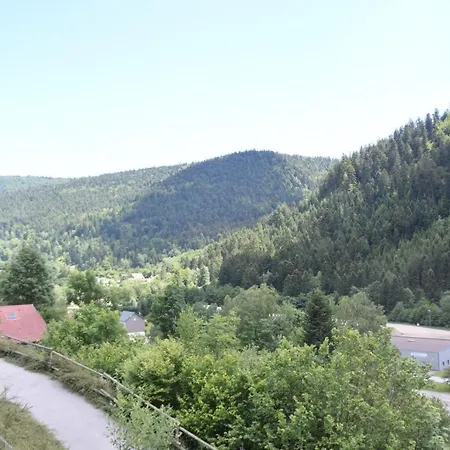 Le Bruleux * La Bresse