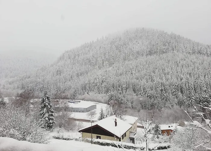 Le Bruleux Chalet La Bresse